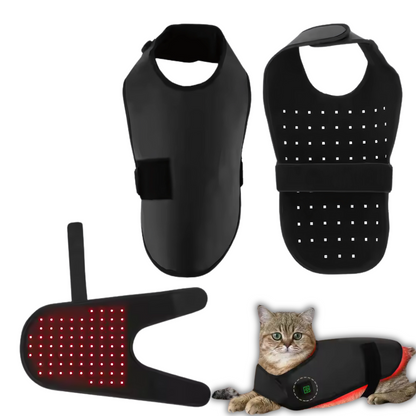 Red Light Therapy For your Furry Friends