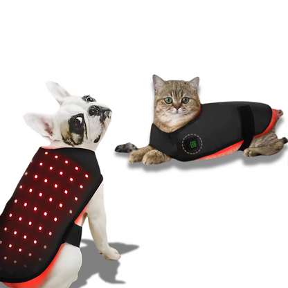 Red Light Therapy For your Furry Friends